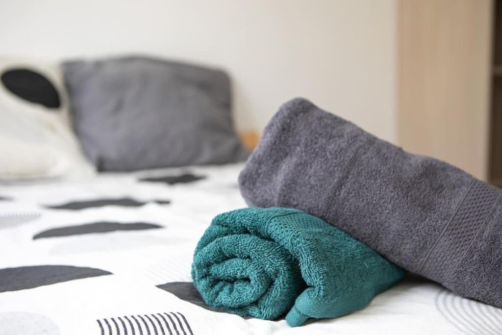 Suite Lumineux Et Moderne, Parking Gratuit, Mulhouse Centre Экстерьер фото
